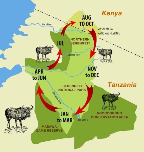 When does the wildebeest migration happen? Denhum Holidays