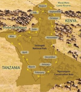Wildebeest migration Serengeti