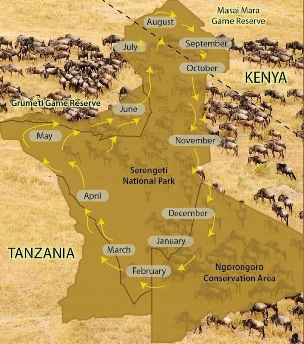 best time to visit kenya for migration