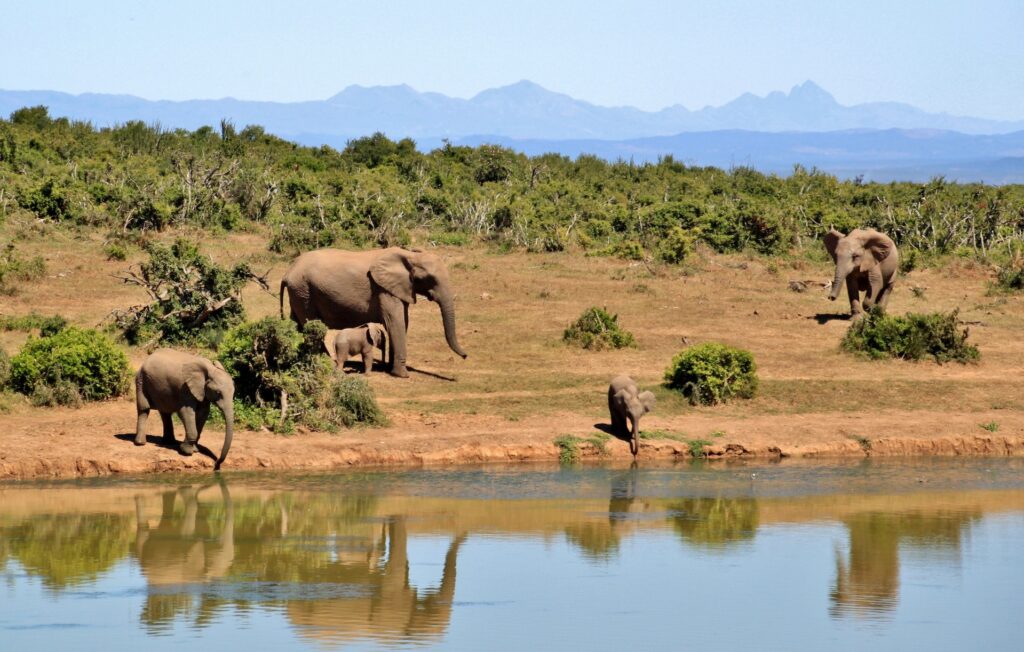 Beautiful Lakes in Africa