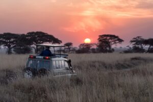 A photo of a Jeep on a safari ride